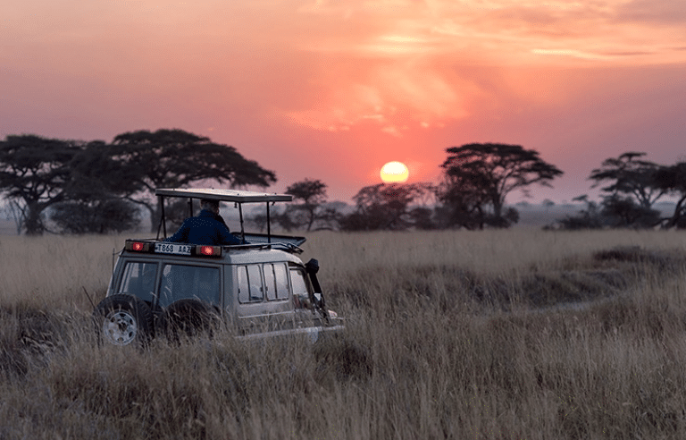 africa-hu-chen-0LwfbRtQ-ac-unsplash@2x